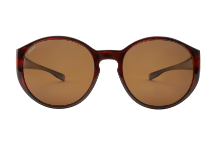 Overzetbrillen - VZ-0039F2-N